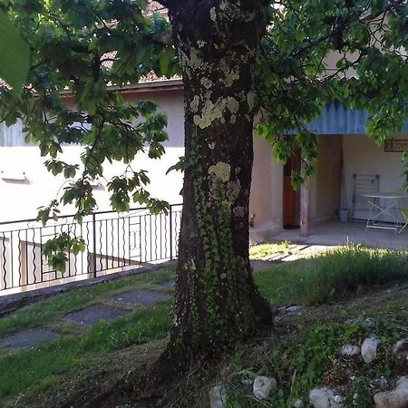 Cote Jardin Apartment Saint-Jean-en-Royans Luaran gambar